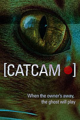 猫咪摄像头